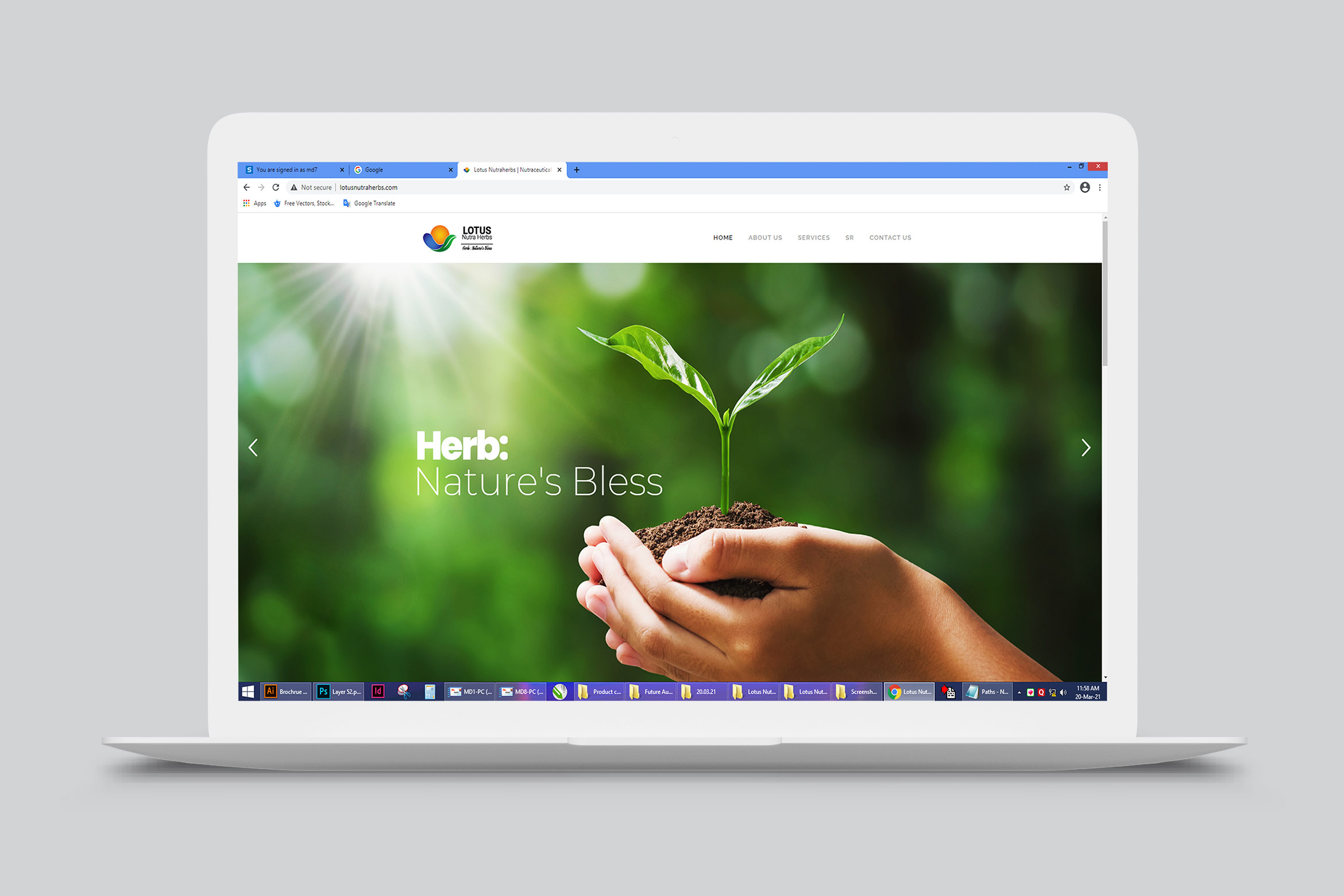 Lotus Nutra Herbs Website Design 01